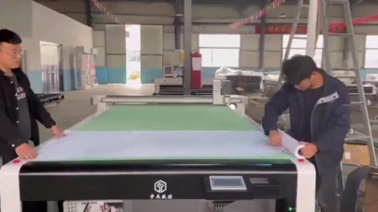 Camera Identifies Real Pure Leather Printed Carpet Cutting with Oscillating Cutting Machine